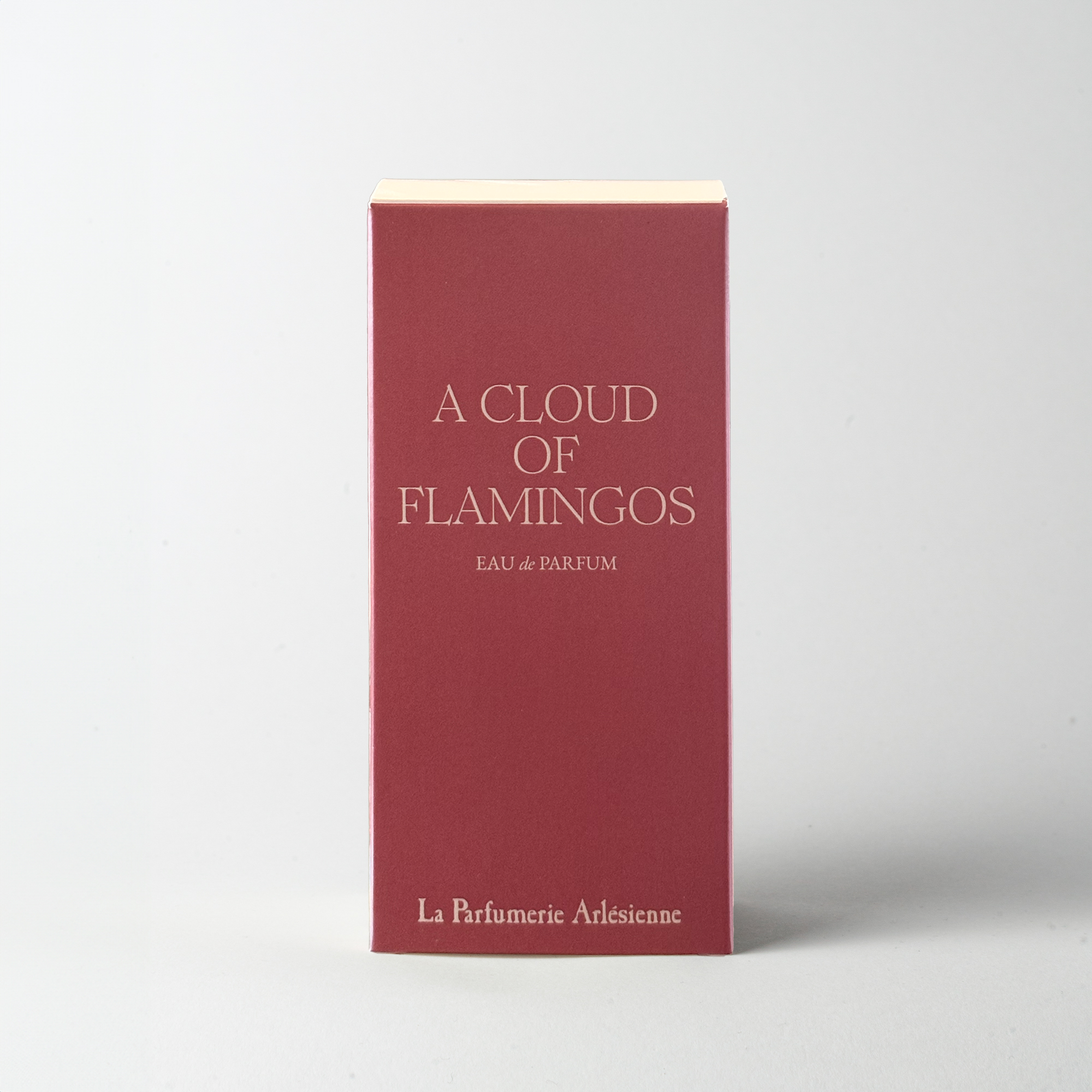 a_cloud_of_flamingos_boite
